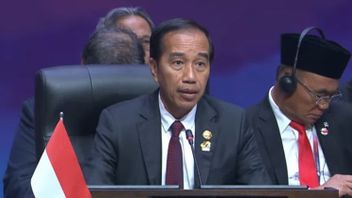 Jokowi Calls ASEAN-Japan Partnership Not Precise But Concrete Mutual Benefit
