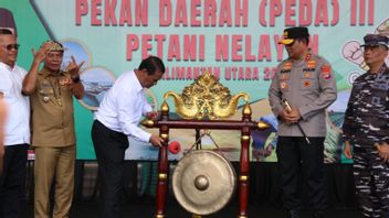 农业部长准备了9.95万亿印尼盾的ABT,鼓励咖啡种植区,可可和战略椰子