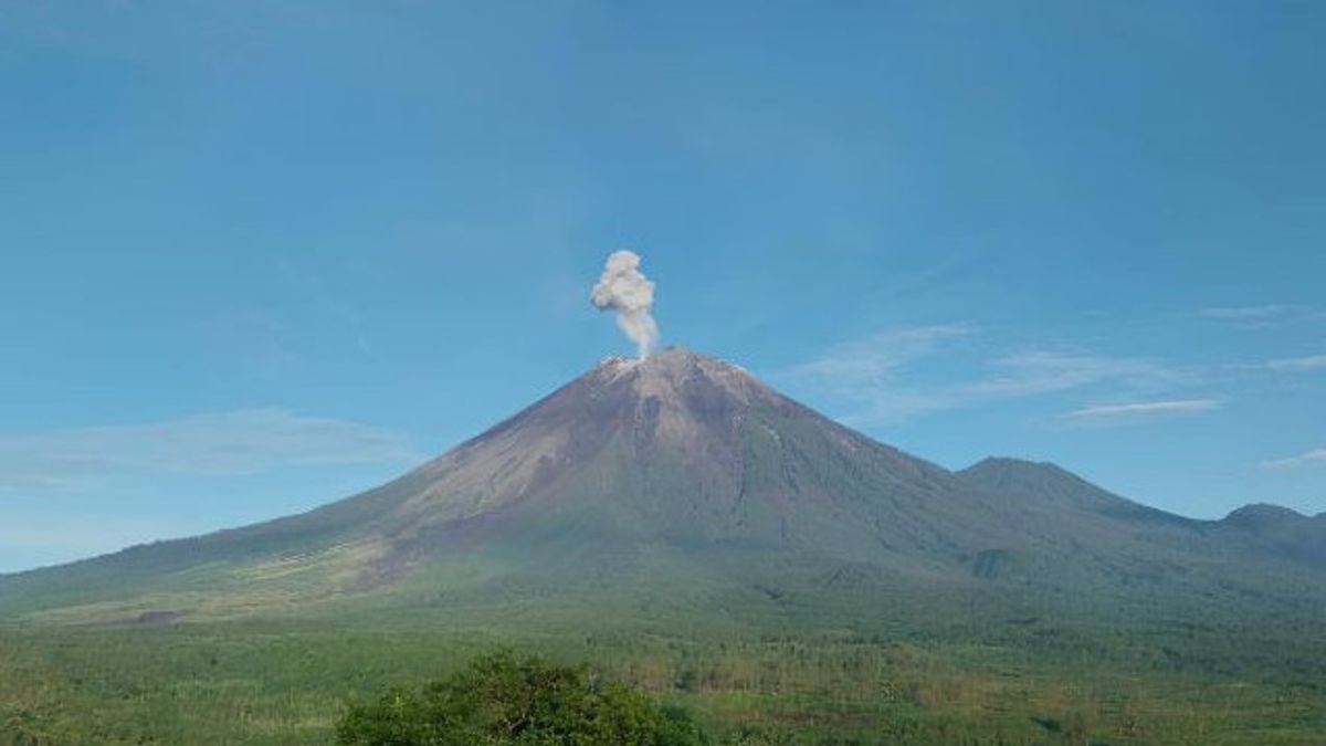Monday Morning, Mount Semeru Launches Volcanic Ash As High As 800 Meters