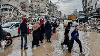 Israel carried out 2,400 attacks in the Gaza Strip in six months since the ceasefire