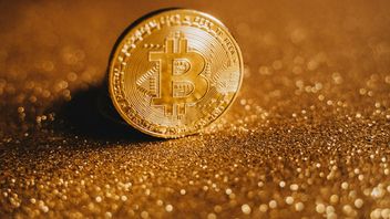 Bitcoin Price Drops After Trader Raup Cuan