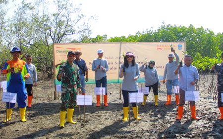 Danamon Peduli Tanam 5.000 Pohon Mangrove di Pangandaran