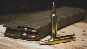 Hari Paling Mematikan Sepanjang Sejarah Niger: Seratus Tewas dalam Serangan Militan Islam