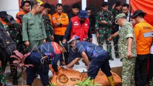 Sisir Lokasi Utama Jatuhnya Pesawat ATR 42-500, SAR Dibagi Jadi 9 Tim SRU