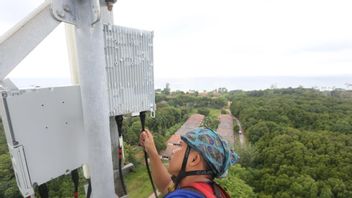 XLSMART 2025年第三季度客户数量达到7960万，同比增长36%。