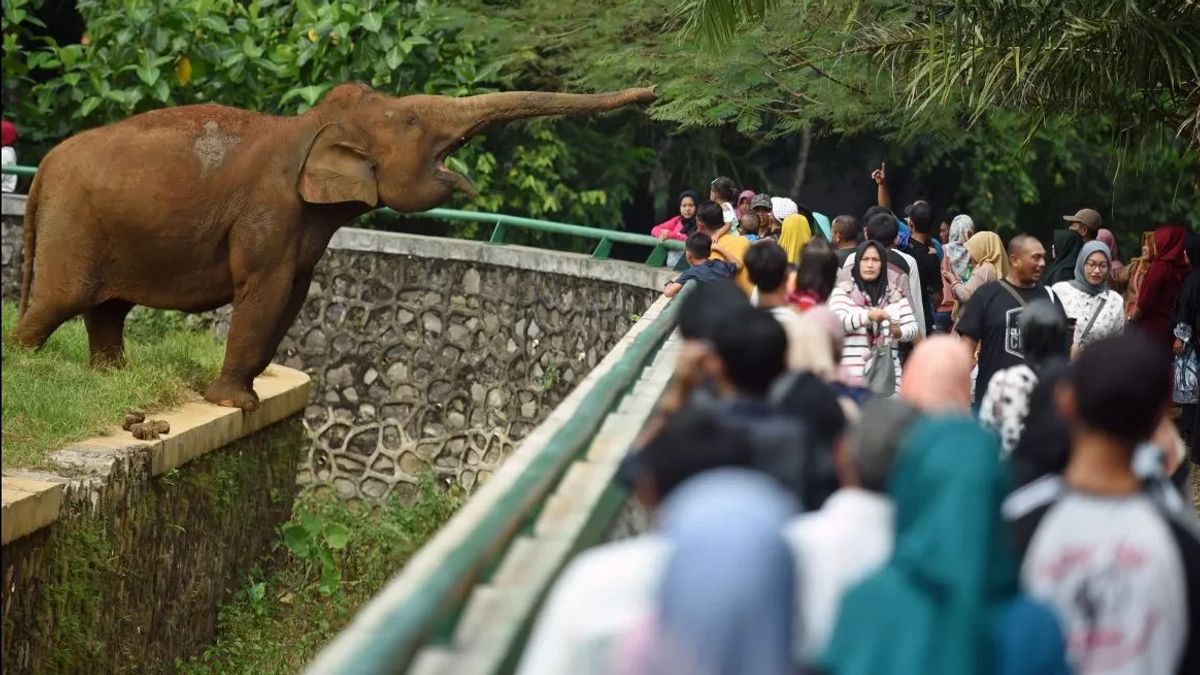 Ragunan Bakal Buka Malam Hari, PDIP: Jangan Sampai Binatangnya Hilang 