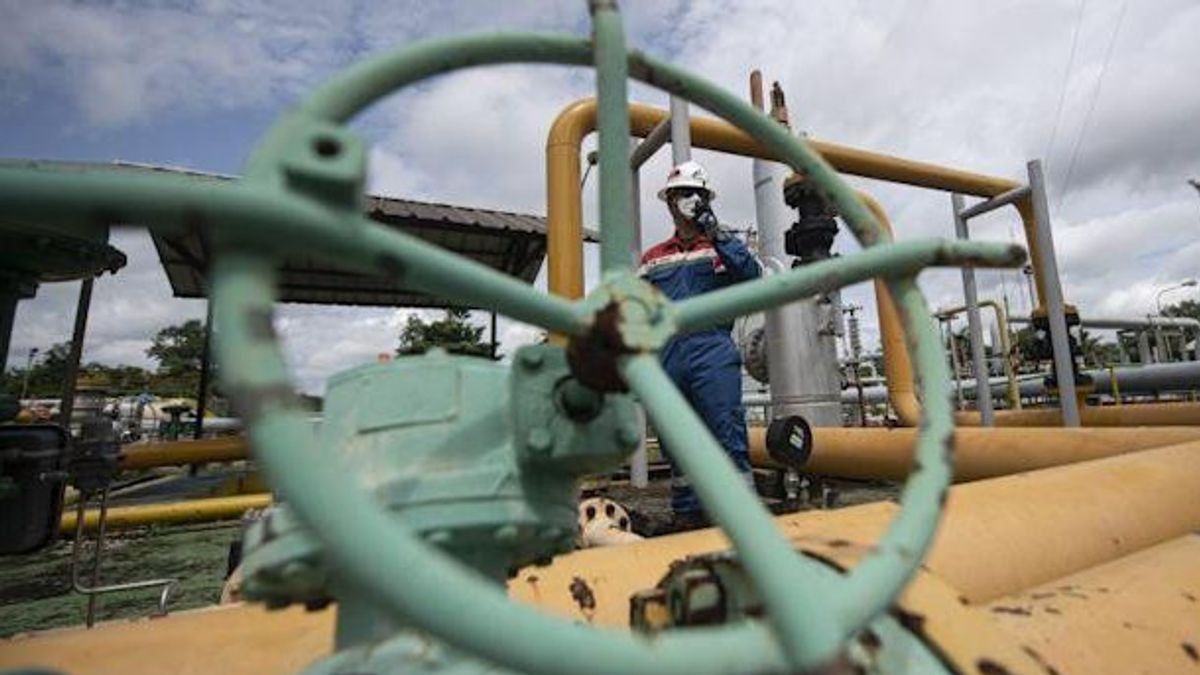 The Largest Petroleum Producting Area In Indonesia, Candidates For New Capitals Also Including