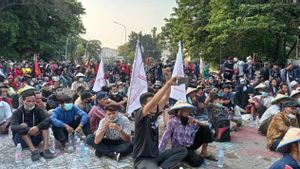 Megawati Bilang ‘Ngapain Sih Demo-demo’, Jubir Gebrak: Hal yang Keliru