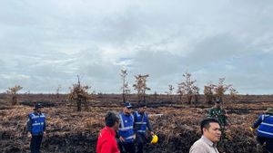 KLH Segel 200 Hektare Lahan Bekas Karhutla di Kalbar, Sanksi Pengusaha Abai Pencemaran Udara
