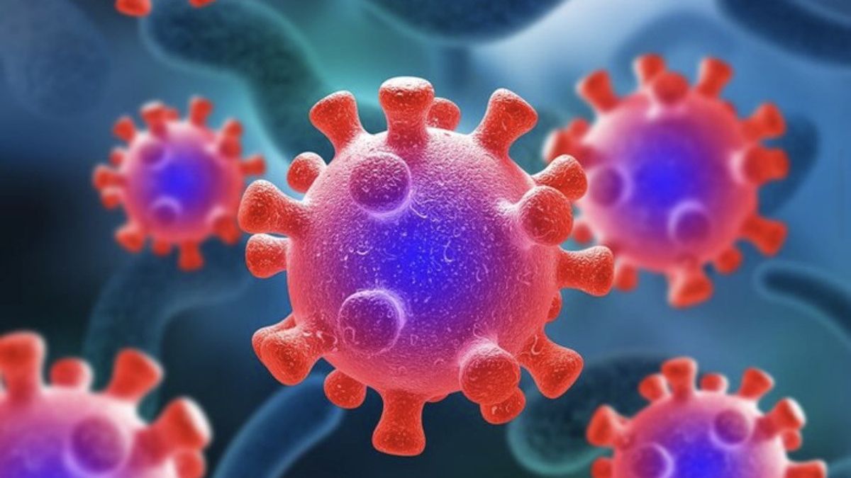 Nipah Virus Danger to the Brain, Doctors Explain the Impact
