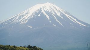 الحكومة اليابانية تدمر الواقي الذكري بسبب حواجز المشهد على جبل فوجي