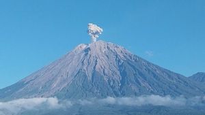 塞梅鲁火山在高峰600米处爆发