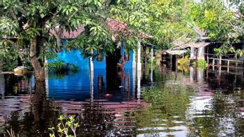 Banjir Rendam 400 Rumah di Pesisir Bengkayang Kalbar, Kades Koordinasi BPBD untuk Bantuan Logistik