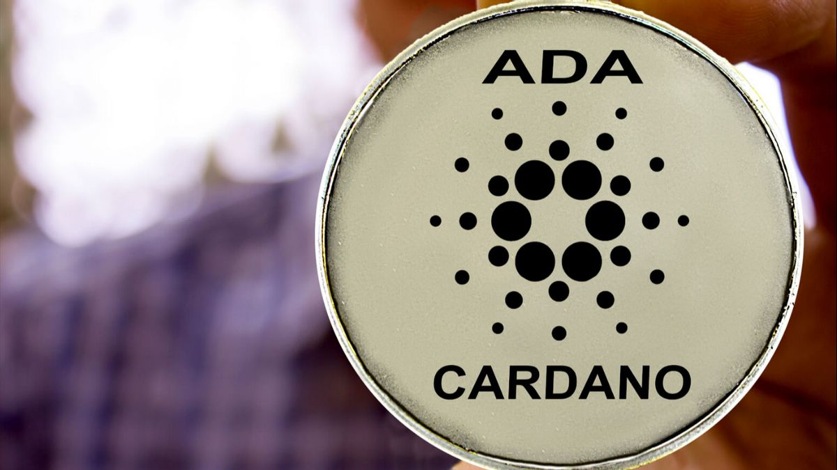 DeFi Cardano Skyrockets After Djed's Stablecoin Launch