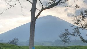 Gunung Dempo Pagaralam Berstatus Waspada Usai Erupsi