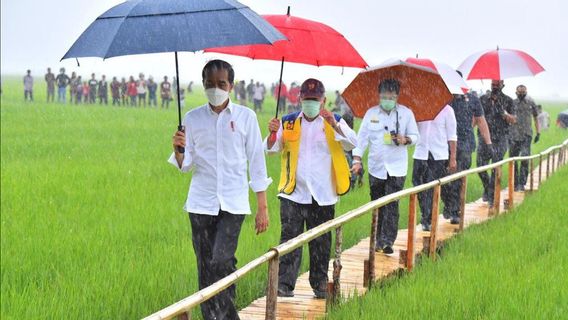 ジョコウィはNTTで激しく雨が降ると必死で、これは宮殿の説明です