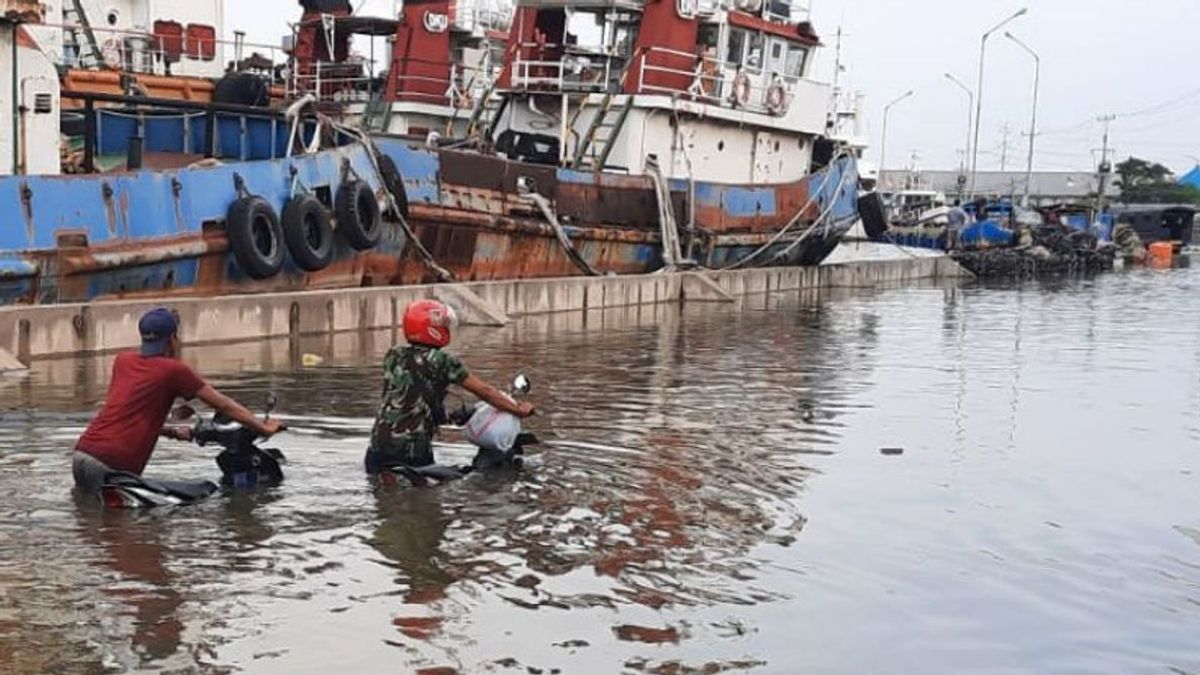 Banjir Rob Setinggi 2 Meter di Semarang, Pakar Sarankan Mitigasi di Sepanjang Muara Sungai dan Tepi Pantai