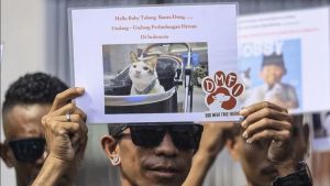 RUU Pelarangan Daging Anjing dan Kucing Masuk Prolegnas, DMFI-FHUI Serahkan Naskah Akademik