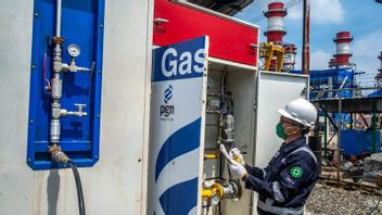 PGN Targetkan 100.000 Rumah Tangga Pakai Gas Bumi di 2024