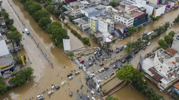 Deputy Governor Of DKI Says Moving Capital City Prevents Jakarta From Sinking, Walhi: Misguided Thought