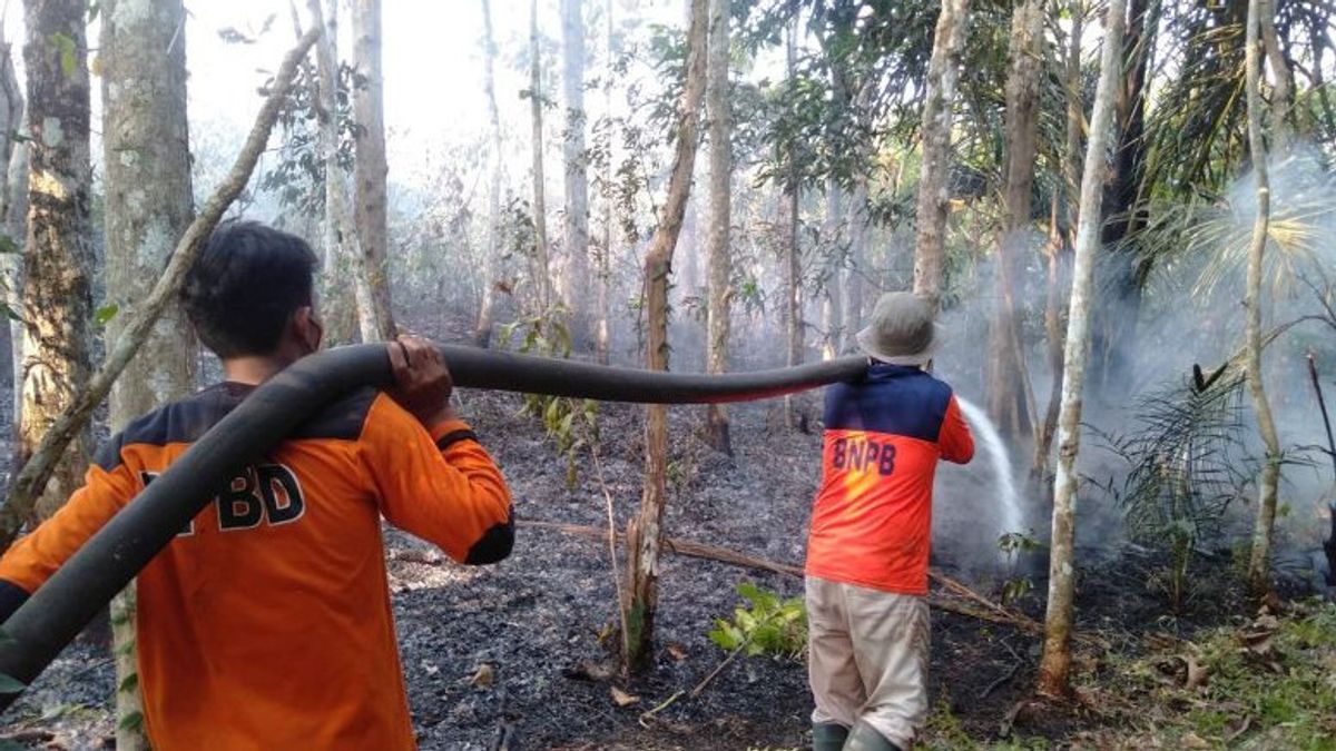 Task Force Team Extinguishes Forest And Land Fires In 3 Villages In OKU South Sumatra