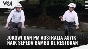 VIDEO: The Moment Jokowi And Australian PM Anthony Albanese Enjoy Riding Bamboo Bikes