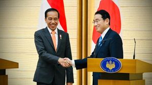 Indonesia-Jepang Sepakat Perkuat Kerja Sama di Sektor Maritim dan Energi 