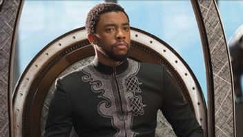 Berita Film: Penggemar Minta Marvel Tak Hapus Karakter T'Challa Di 