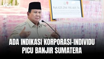 Jaksa Agung: Ada Indikasi Korporasi-Individu Picu Banjir Sumatera