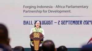 Buka IAPF di Bali, Puan Singgung RI-Afrika Punya Sejarah Panjang Sejak KAA di Era Presiden Sukarno