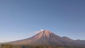 Gempa Letusan Terjadi 30 Kali di Gunung Semeru Pagi Ini