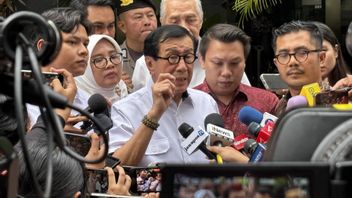 Ketua KPK Soal Peluang Yasonna Dipanggil Usai Hasto Ditahan: Sesuai Kebutuhan Penyidik