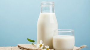 Khasiat Susu Kambing yang Membuat jadi Sumber Nutrisi Sehat