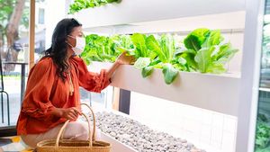 Urban Farming dan Manfaat Nyatanya bagi Kehidupan Perkotaan