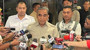 穆扎尼:外国人按照规则领导国有企业没有问题