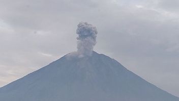 Mount Semeru Erupts Again, Eruption Reaches 1,200 Meters Above The Peak