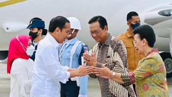 Arriving In Yogyakarta, Jokowi Immediately Launched To Kebumen Tinjau Panen Raya Padi