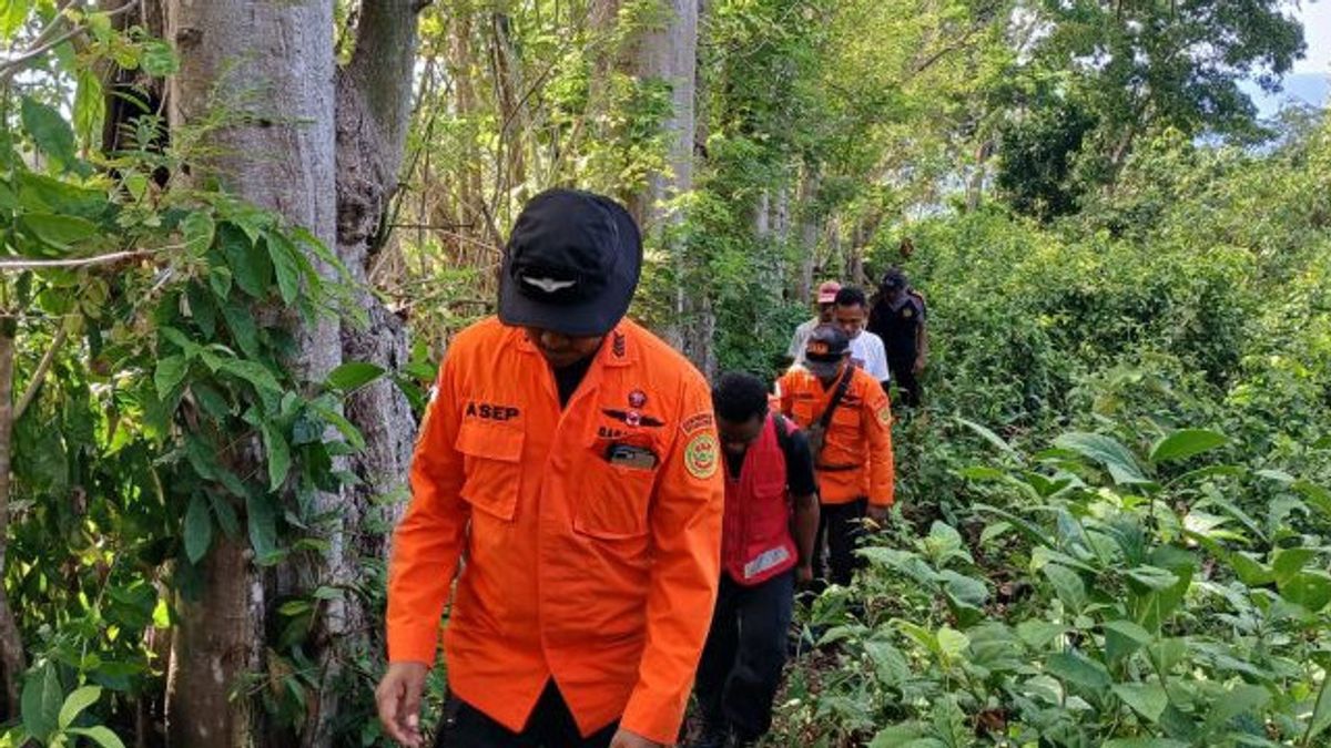 2日目、バサルナスはブトンガーデンで行方不明の男性の捜索を続けた。
