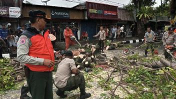 Pengendara Ojol di Padang Tertimpa Pohon Sepanjang 20 Meter Tewas