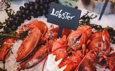 Menteri KP Edhy Prabowo Kena OTT, Ekspor Benih Lobster Masih Dievaluasi