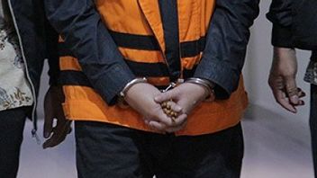 관세 수입에 대한 뇌물 혐의 사건의 가치를 관찰하는 것은 개인 문제가 아니라 문제가있는 시스템입니다.