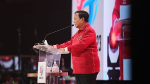 Gerindra Belum Ambil Langkah Hukum Terkait Isu Prabowo Tampar Wamen