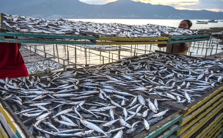 KKP Beberkan Jenis Ikan yang Sesuai Bujet Makan Bergizi Gratis Rp10.000 per Porsi