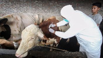 Not 5.4 Million, Only 20,723 Cattle Infected With FMD In 16 Provinces