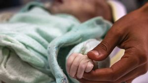 UNICEF Peringatkan Bayi di Inkubator Kota Gaza Terancam Akibat Peningkatan Serangan Israel