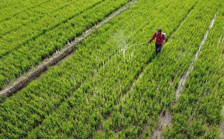 Pengamat: NTT Wajib Manfaatkan Bendungan Dukung Swasembada Pangan