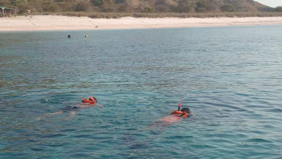 Entering The Seventh Day, The Search For Foreigners From China Who Disappeared In Labuan Bajo Was Stopped