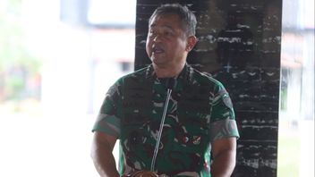 KSAD要求TNI AD士兵成为节能先锋