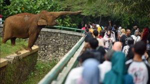 Ragunan Bakal Buka Malam Hari, PDIP: Jangan Sampai Binatangnya Hilang 