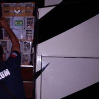 KLHK Amankan Pedagang yang Jual 1.752 Burung Ilegal